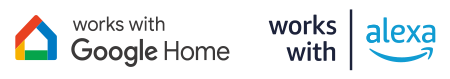 Google Home&Alexa
