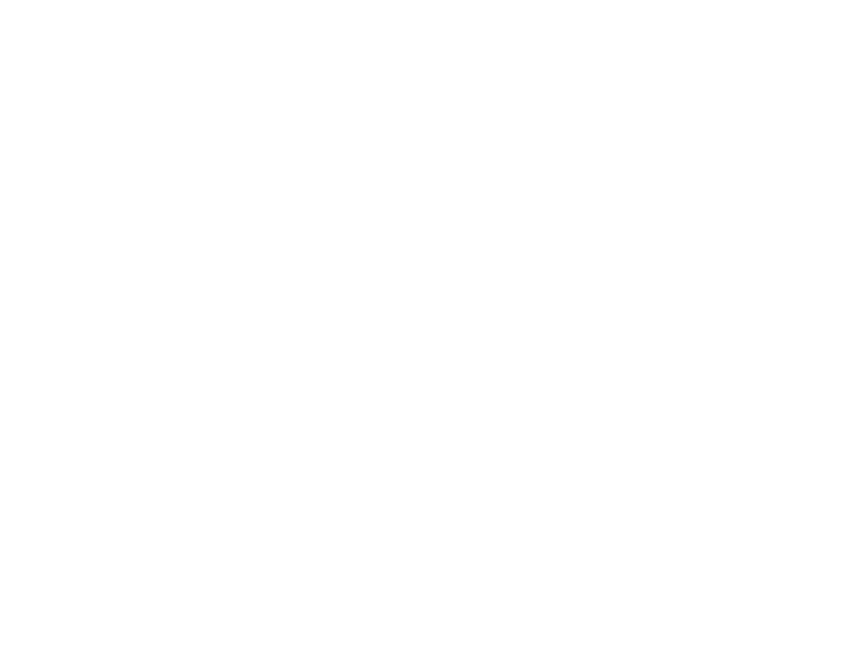 Traditional Router Network Topology